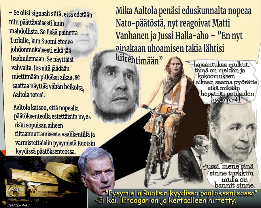 Mika-Aaltola-Asiantuntija